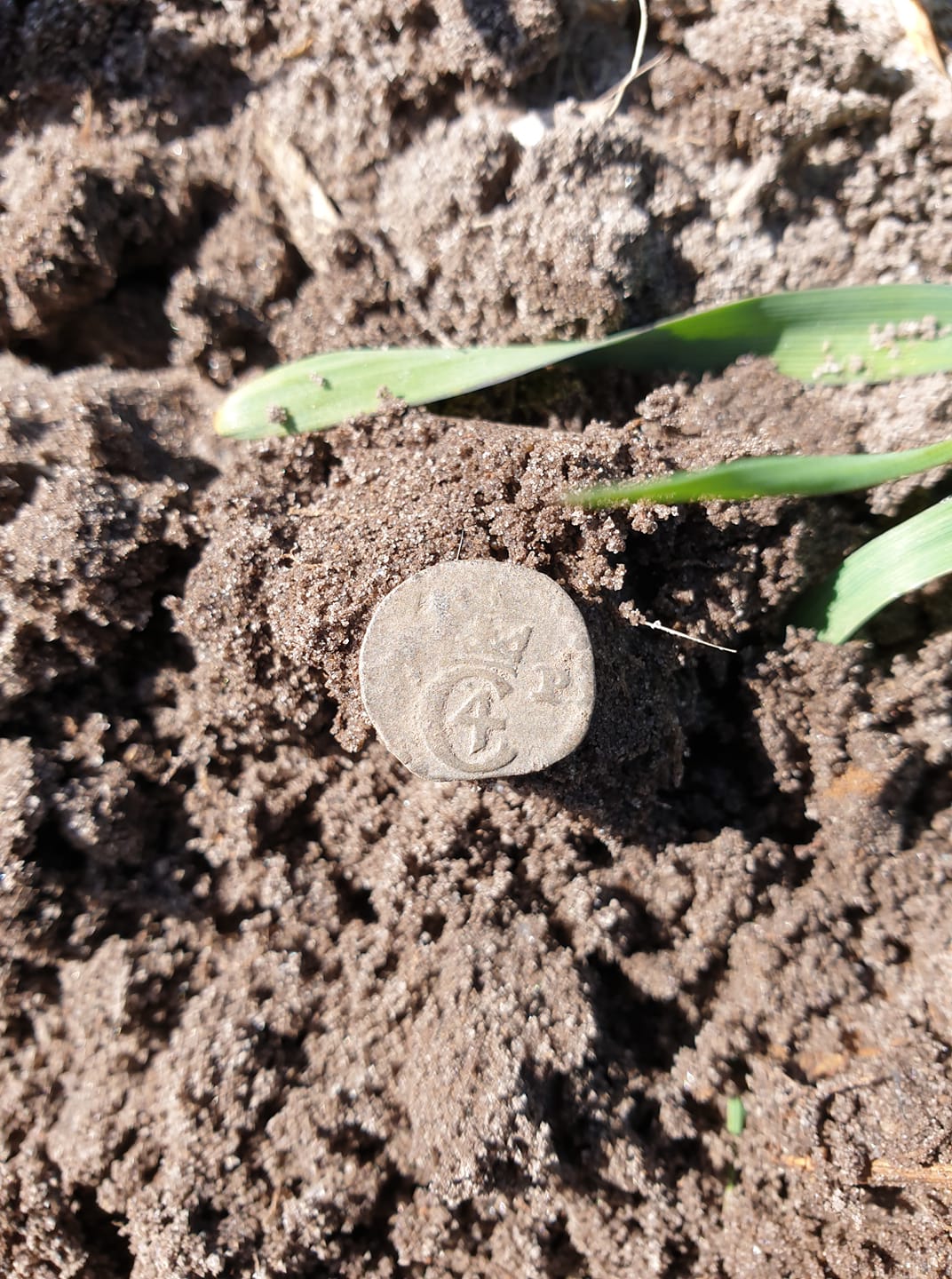 fundfoto aug nordjyskdetekt (22)