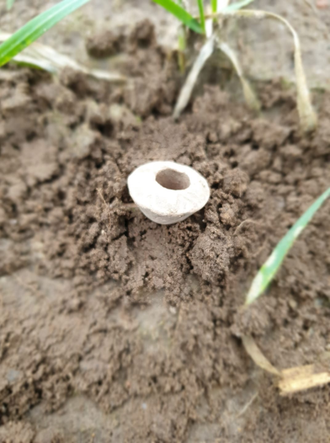 fundfoto aug nordjyskdetekt (23)
