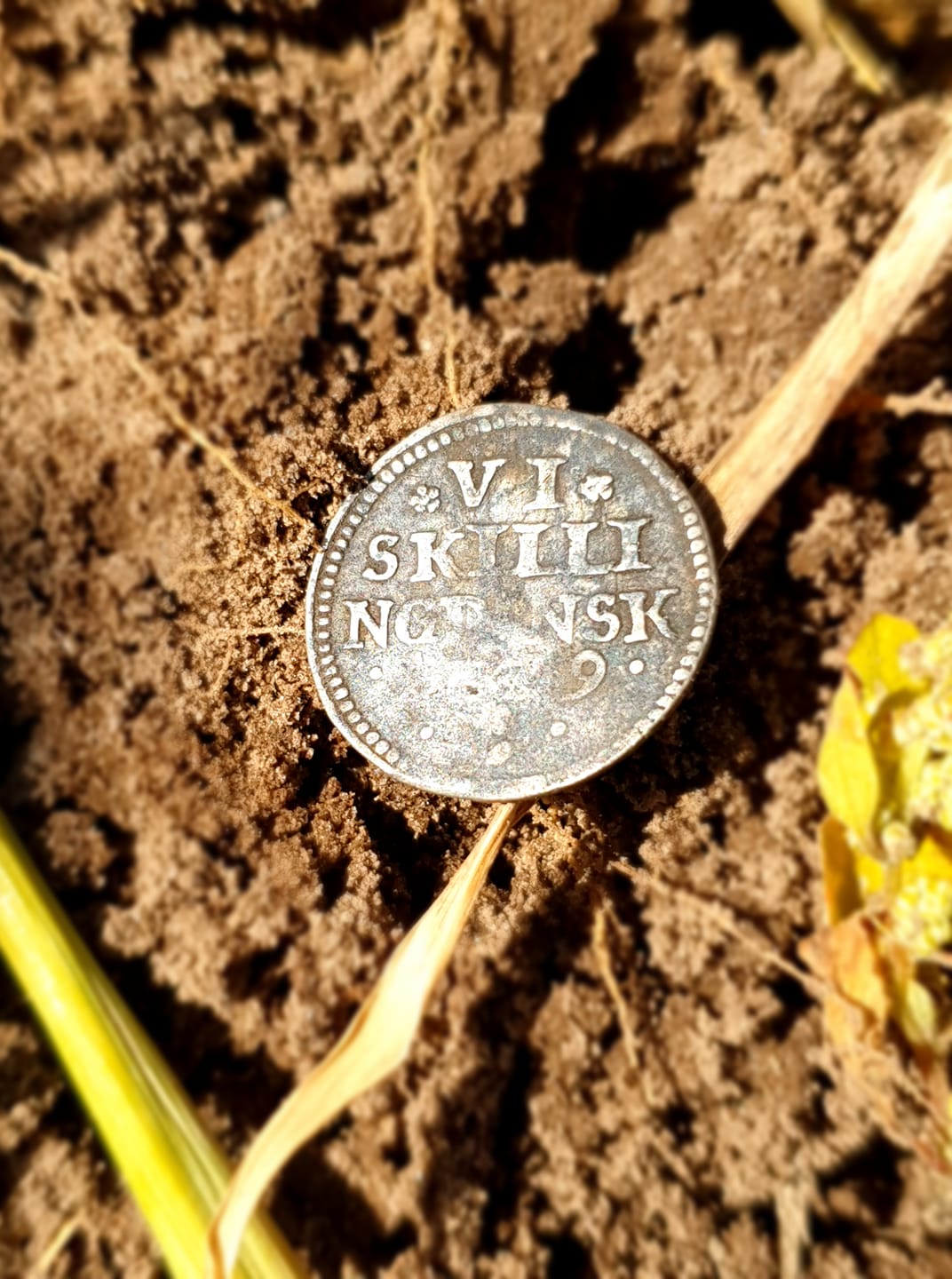 fundfoto aug nordjyskdetekt (36)